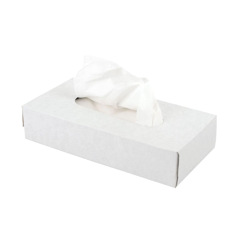 Clean and Soft Premium Facial Tissues 2-Ply 100 Sheets 48 Boxes