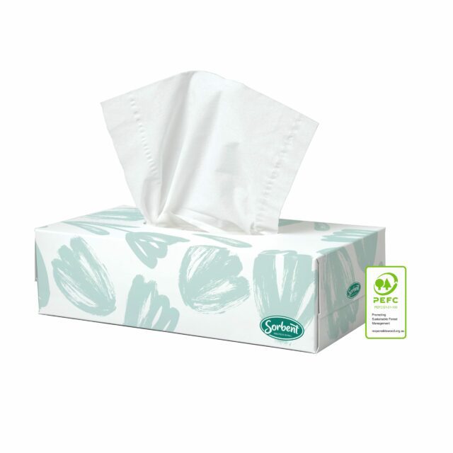 Sorbent Professional Silky White Facial Tissue 2 Ply 100 Sheets