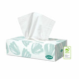 Sorbent Professional Silky White Facial Tissue 2 Ply 100 Sheets