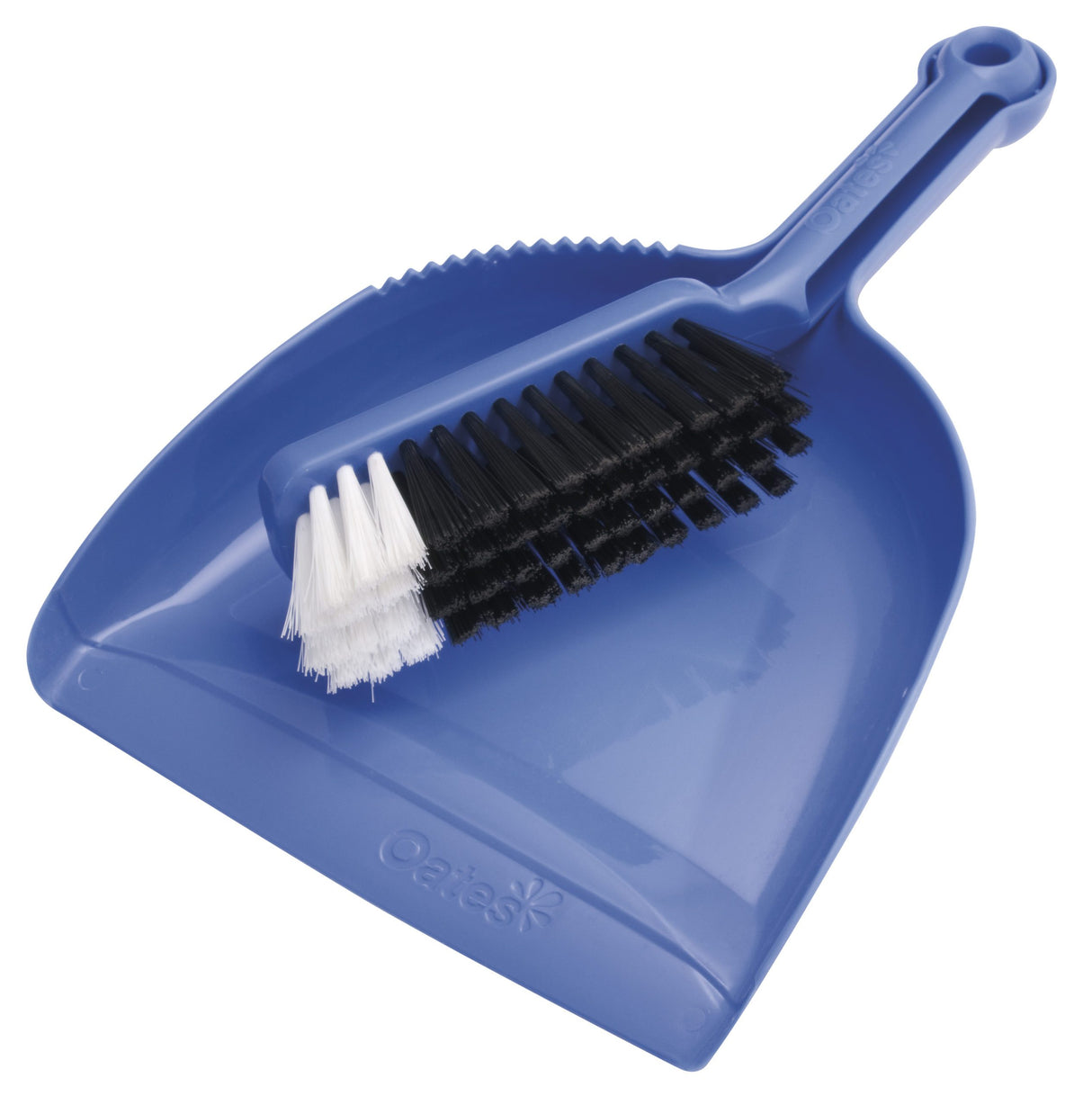 Oates Blue Dustpan and Bannister Set