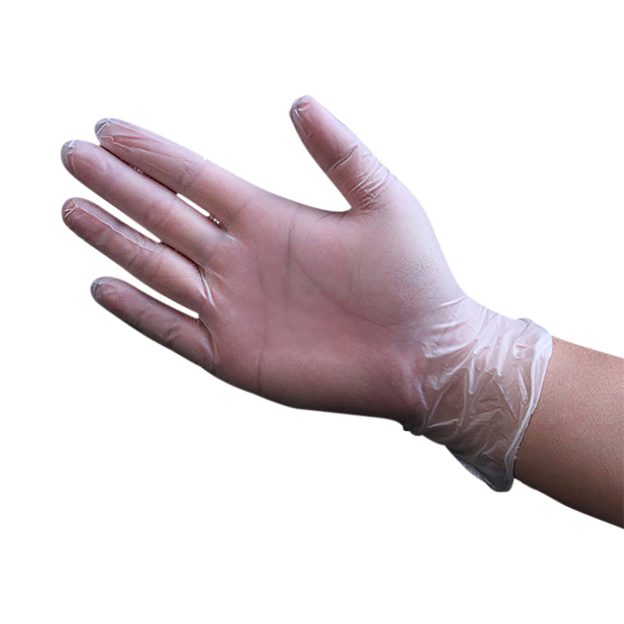HospiPlus Clear Vinyl Powder-Free Gloves, Large